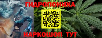 хмурый Бийск