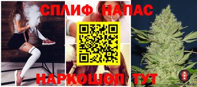 хмурый Бийск