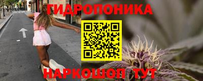 альфа пвп Беслан
