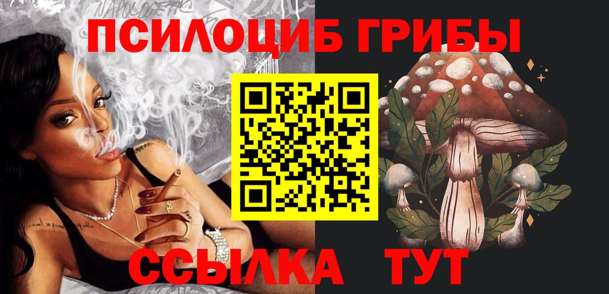 Псилоцибиновые грибы GOLDEN TEACHER  Вход с VPN  Псилоцибиновые грибы прущие грибы  Гагарин 